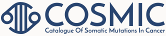 COSMIC Logo
