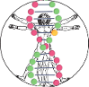Database Logo