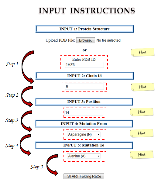 Input Guide