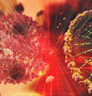 Cancer Genomics & Molecular Therapeutics