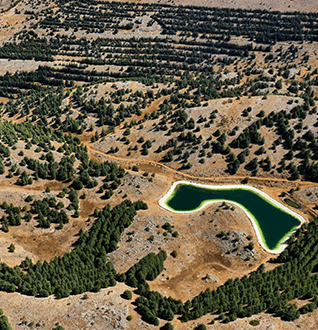 Geophysical Flows