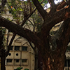 Fee Structure for current Semester