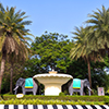 Information Brochure for Admissions 2019-2020
