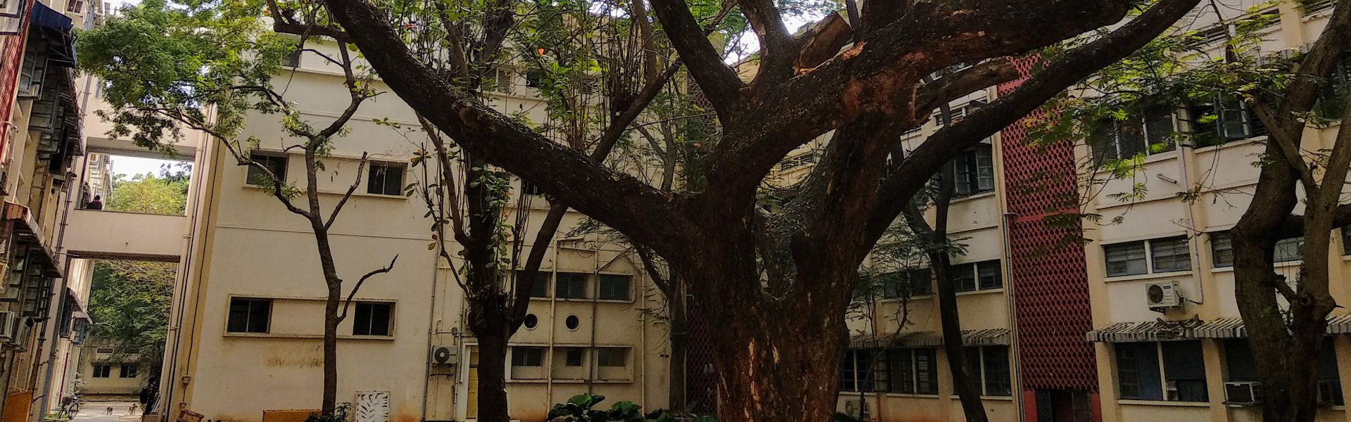 View of Classroom complex