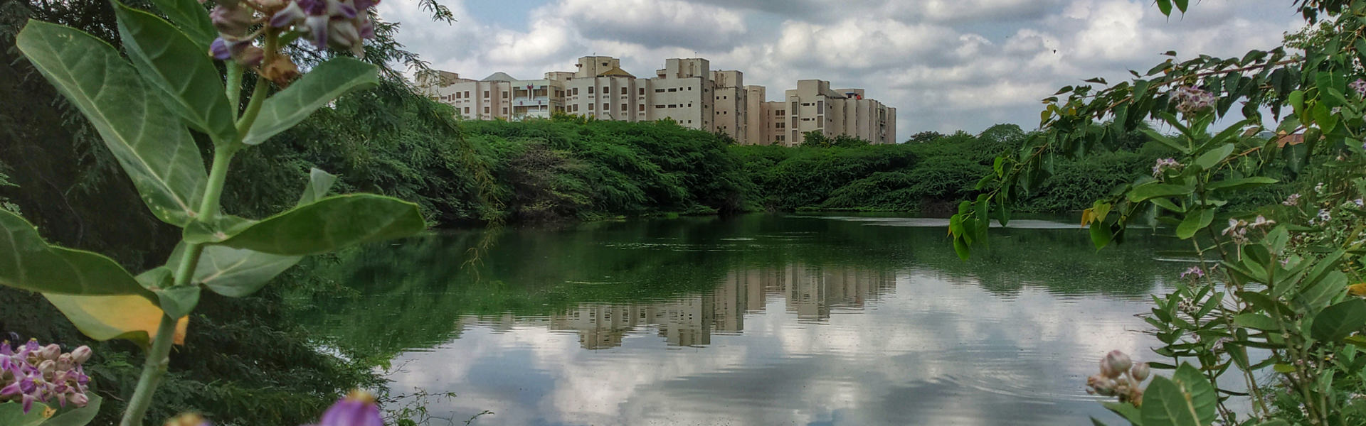 Reflections in IIT lake