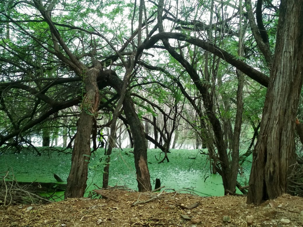 Instigram Photo Gallery