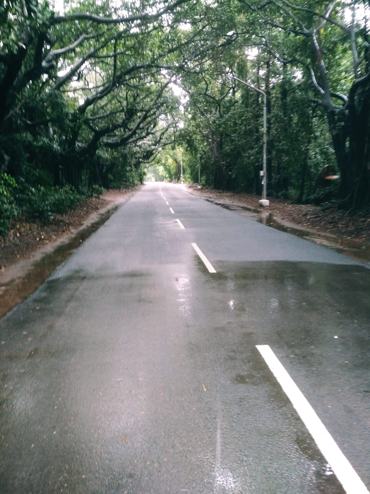 Instigram Photo Gallery
