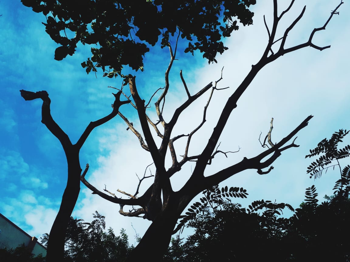 Instigram Photo Gallery