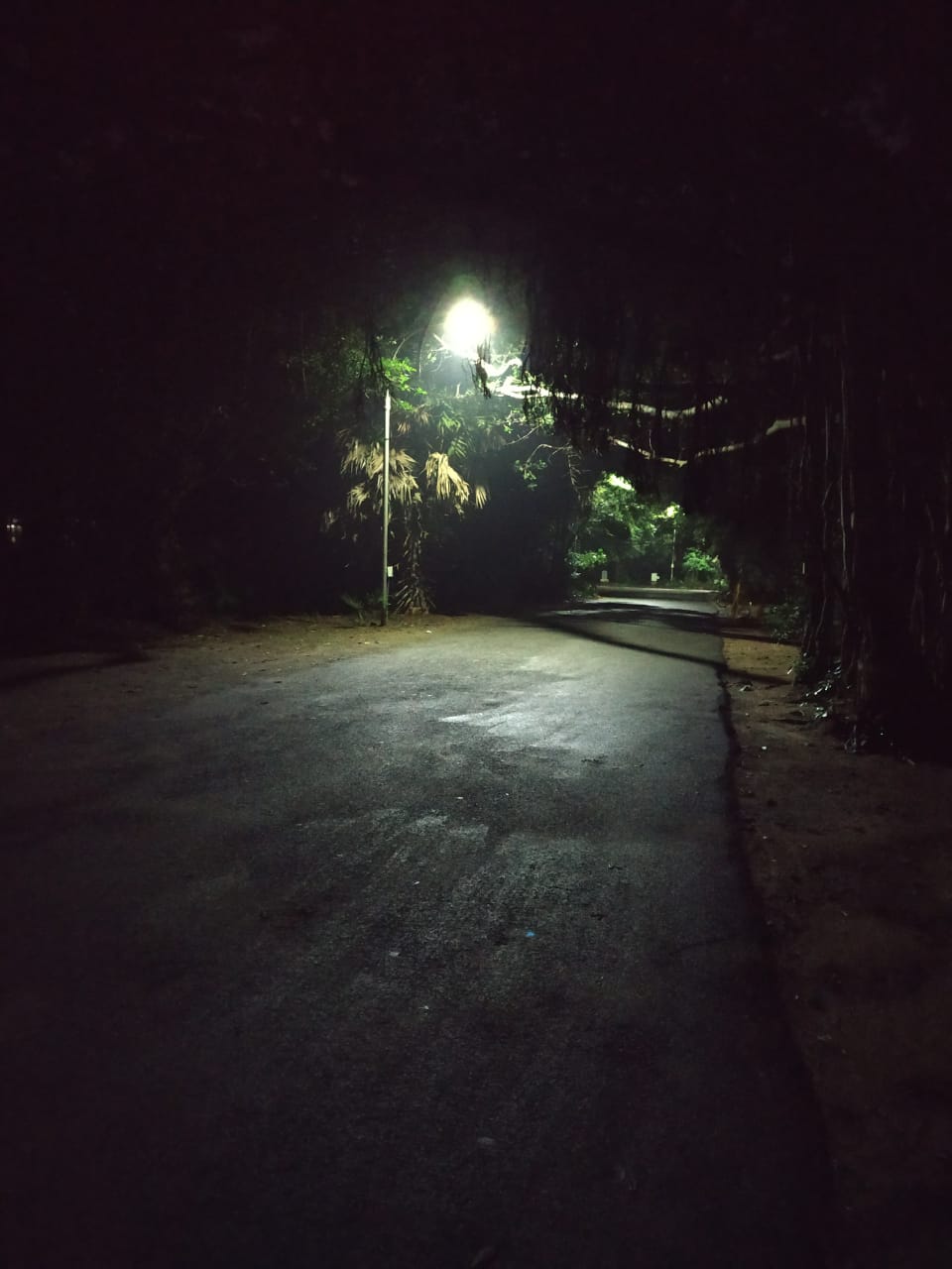Instigram Photo Gallery