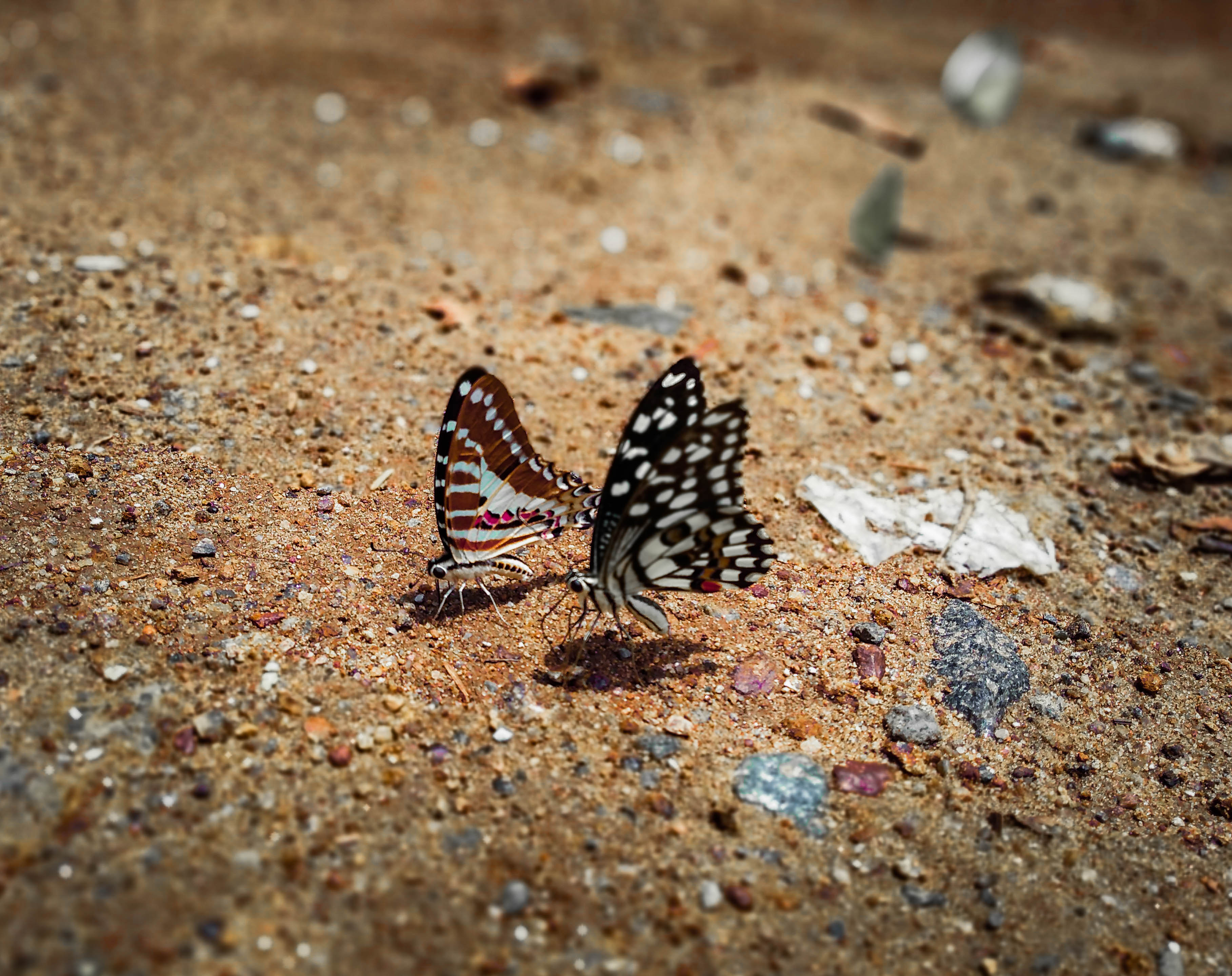 Instigram Photo Gallery