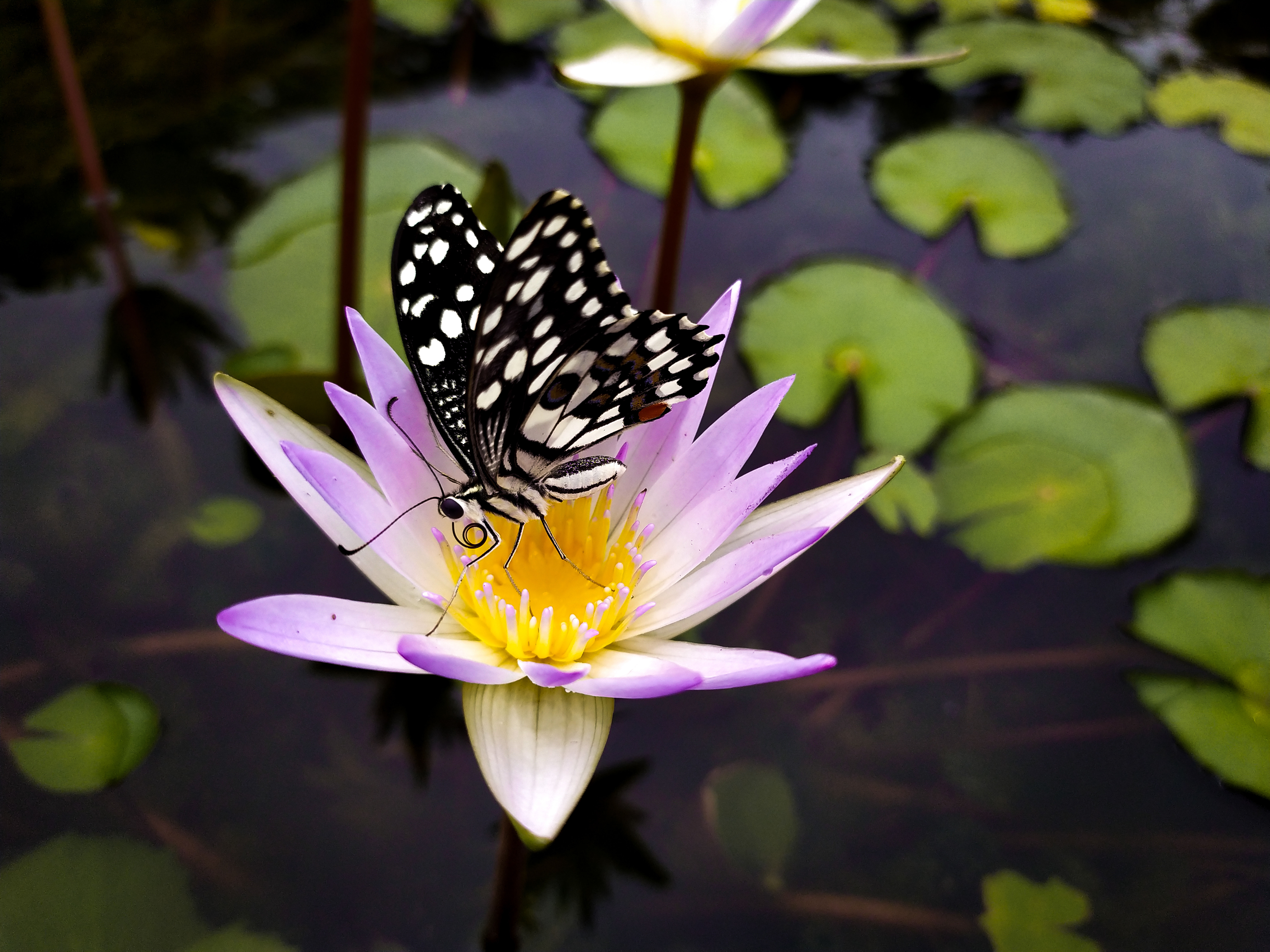 Instigram Photo Gallery