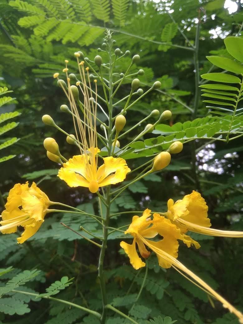 Instigram Photo Gallery