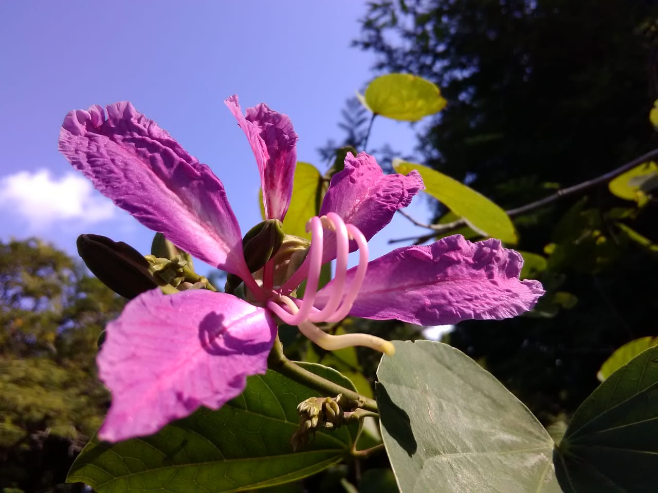 Instigram Photo Gallery