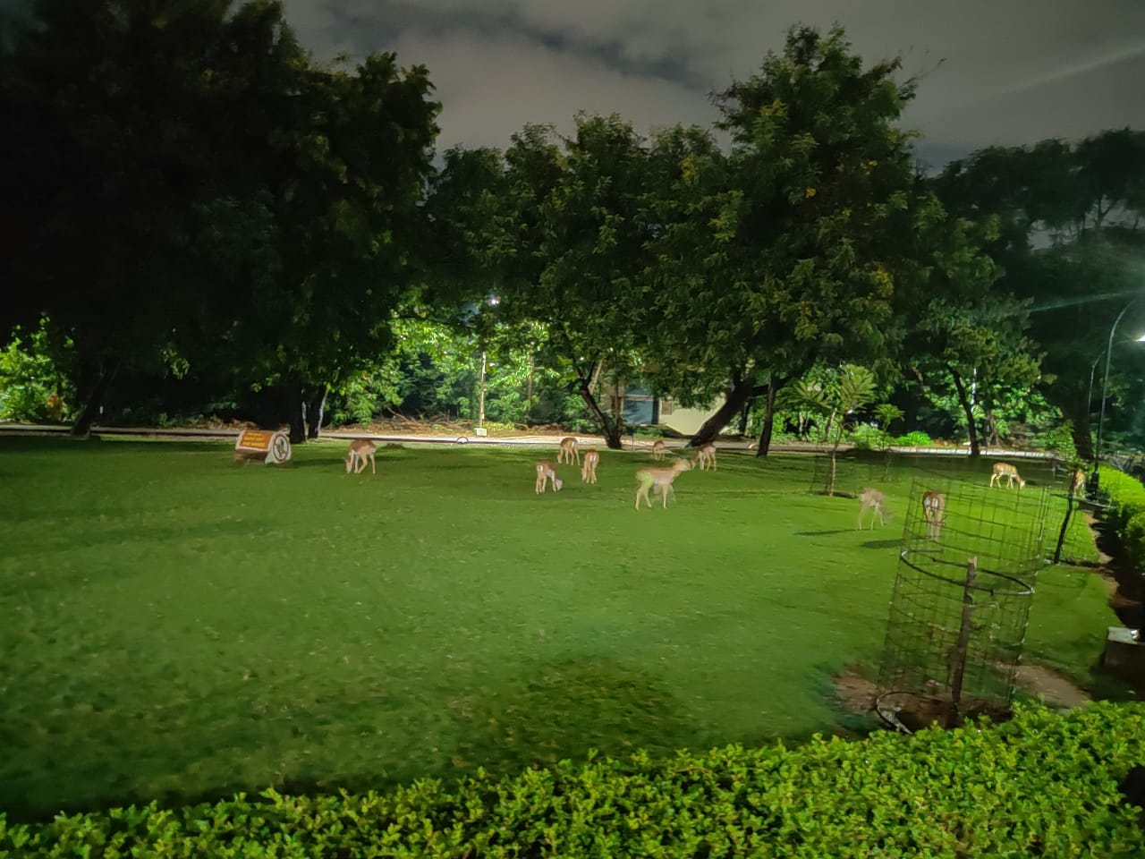 Instigram Photo Gallery