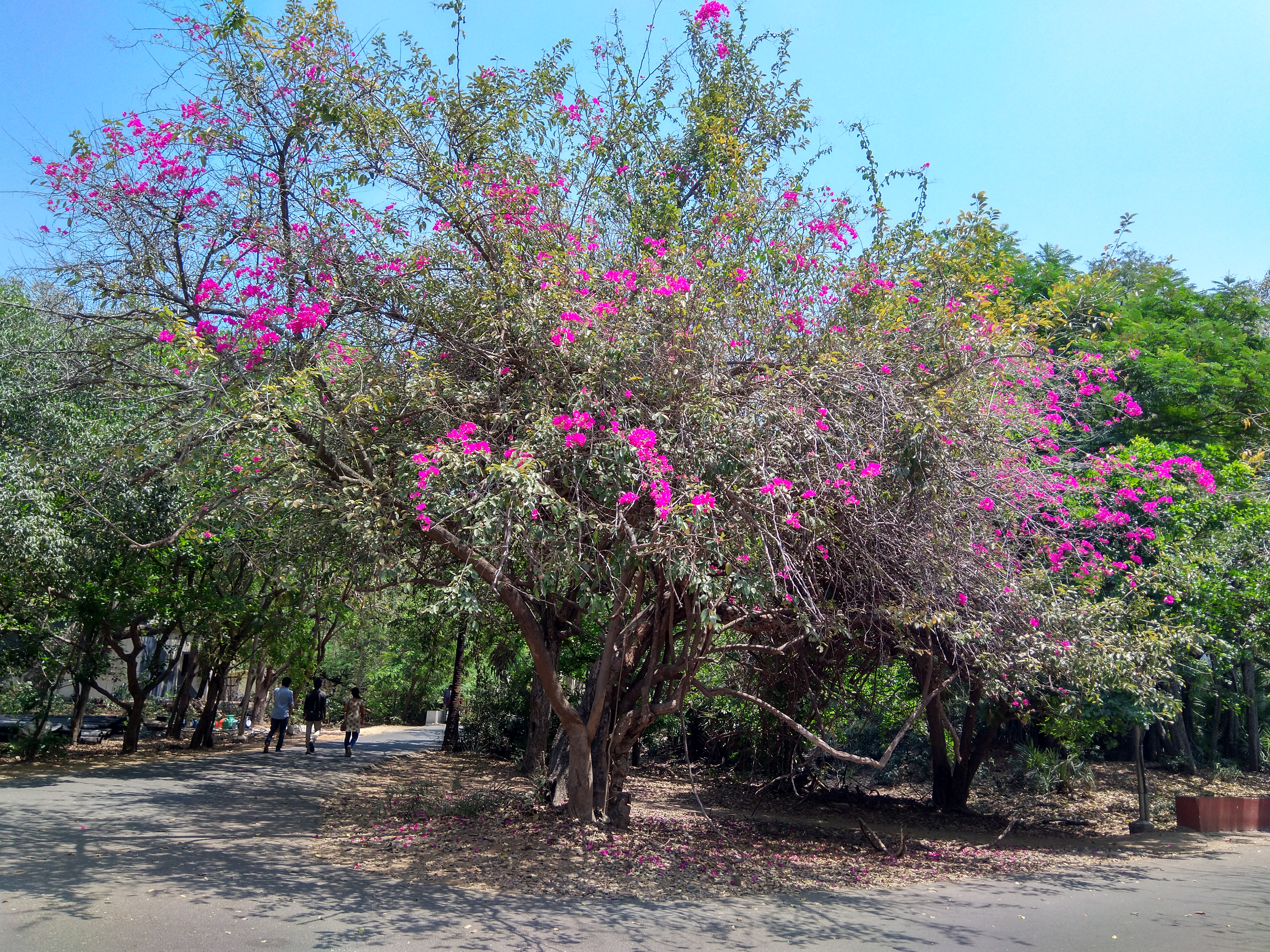 Instigram Photo Gallery