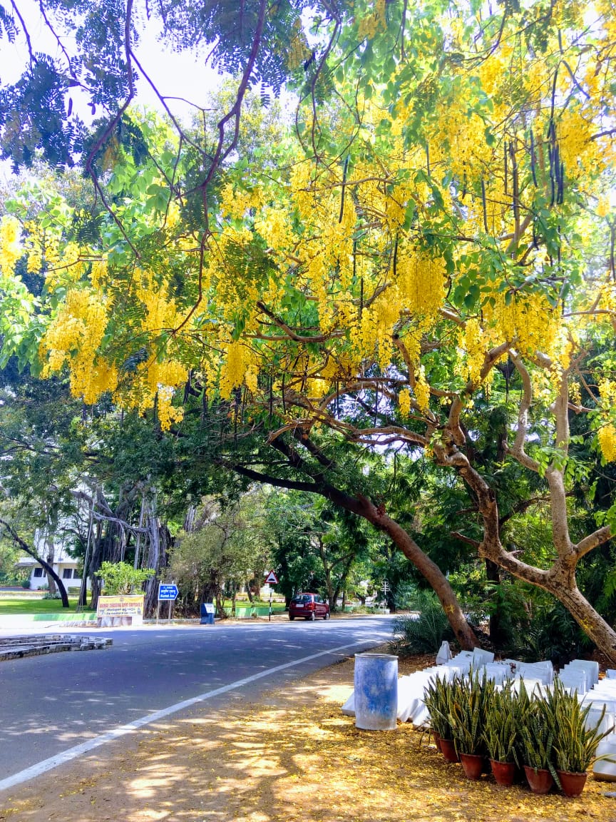 Instigram Photo Gallery