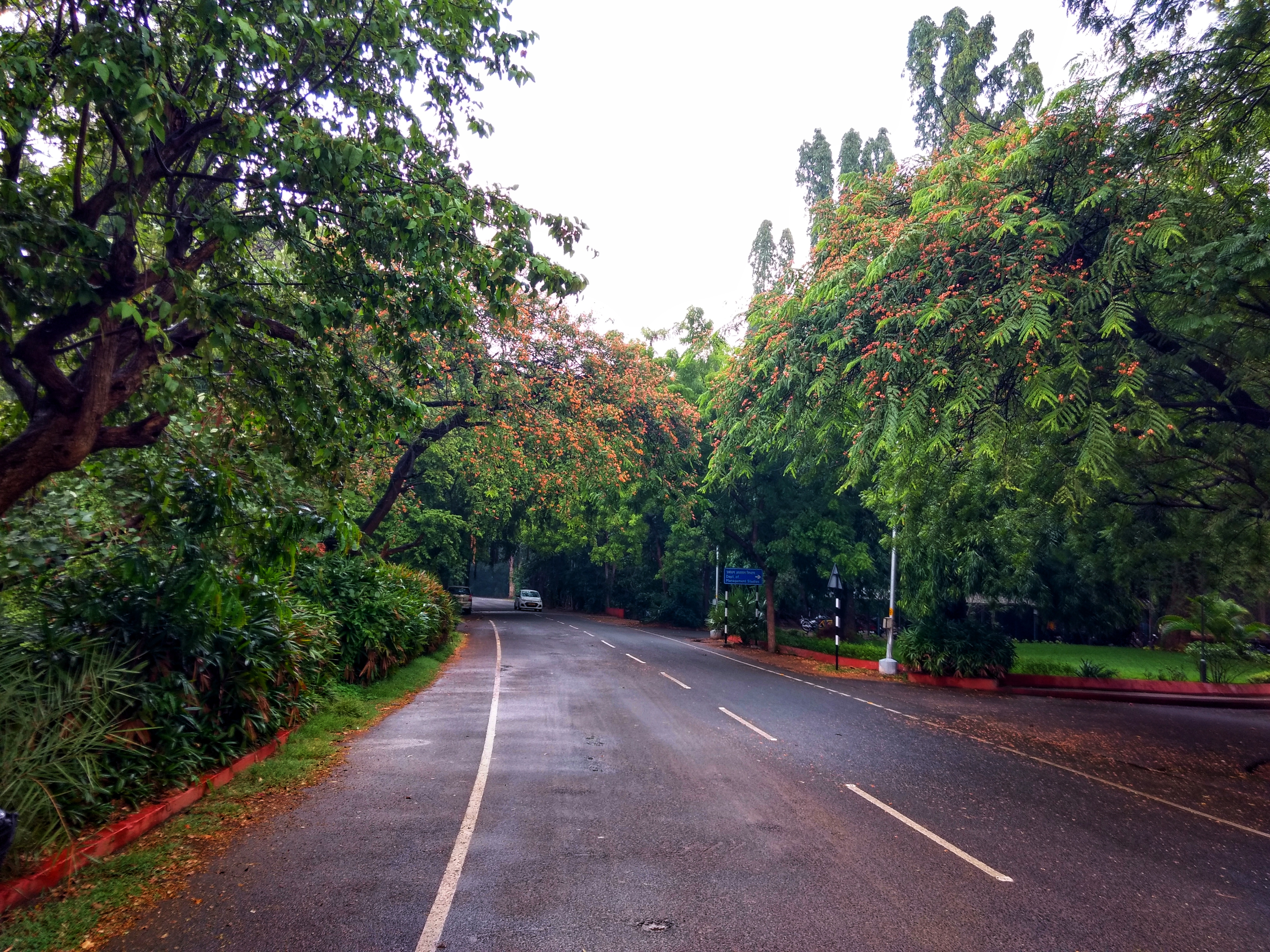 Instigram Photo Gallery