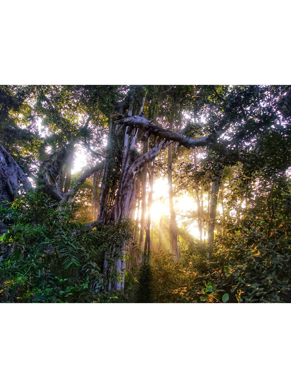Instigram Photo Gallery