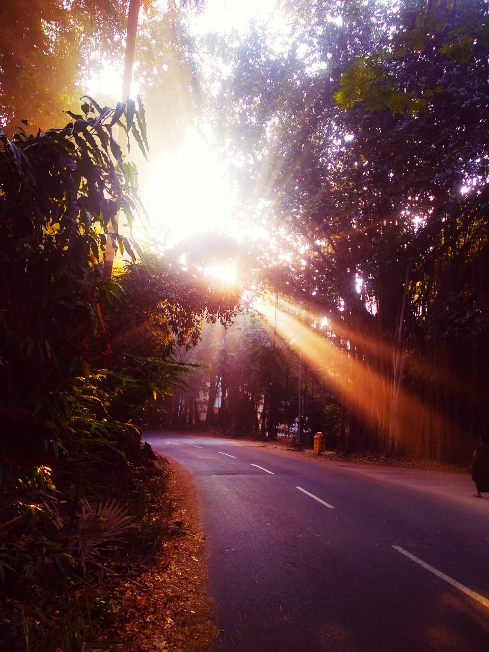 Instigram Photo Gallery