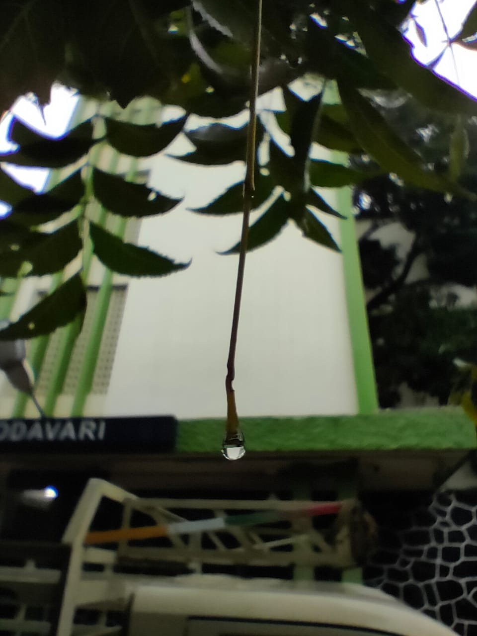 Instigram Photo Gallery