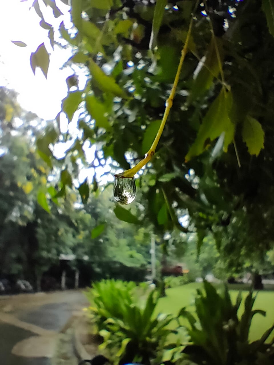 Instigram Photo Gallery