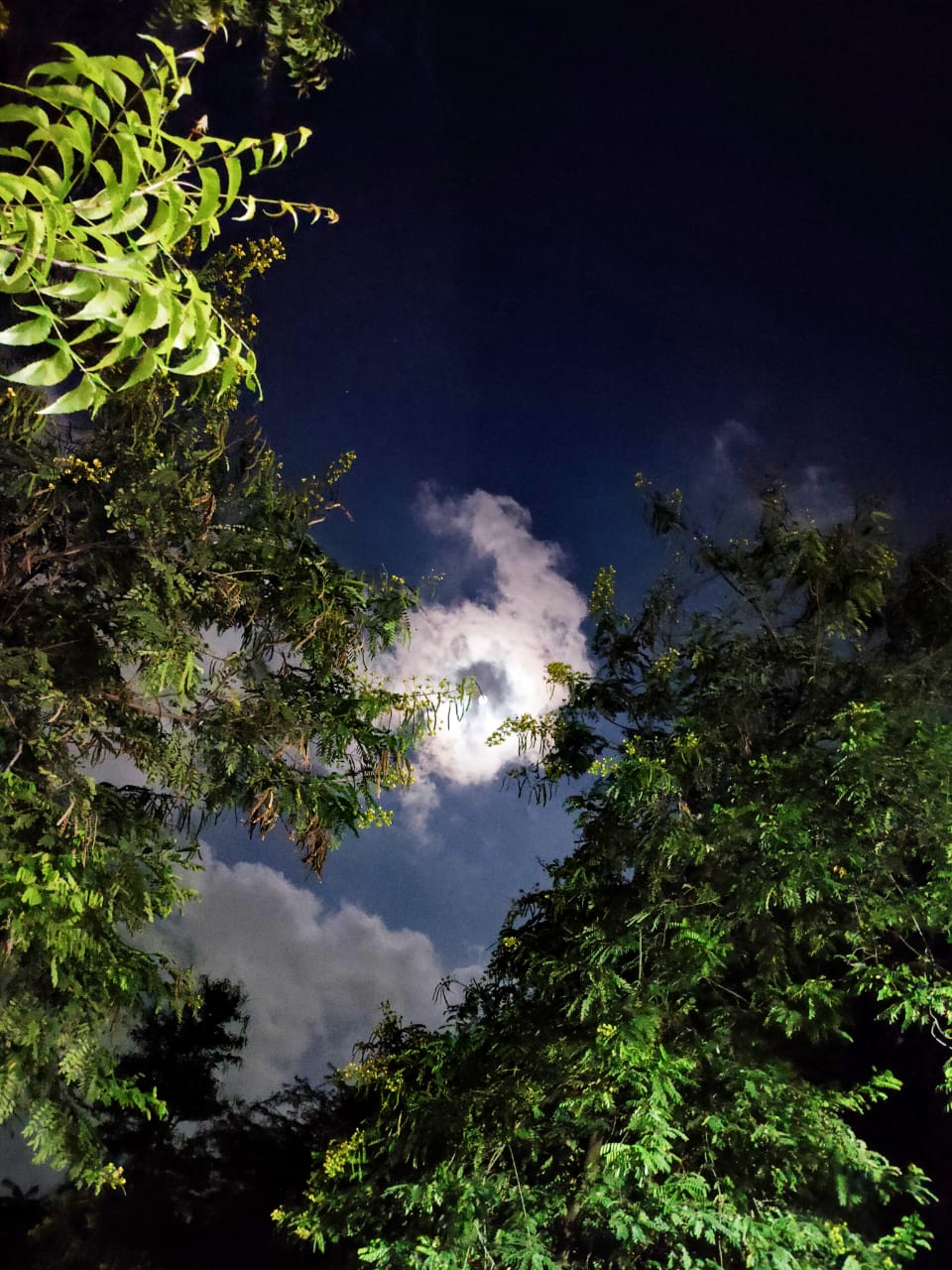 Instigram Photo Gallery