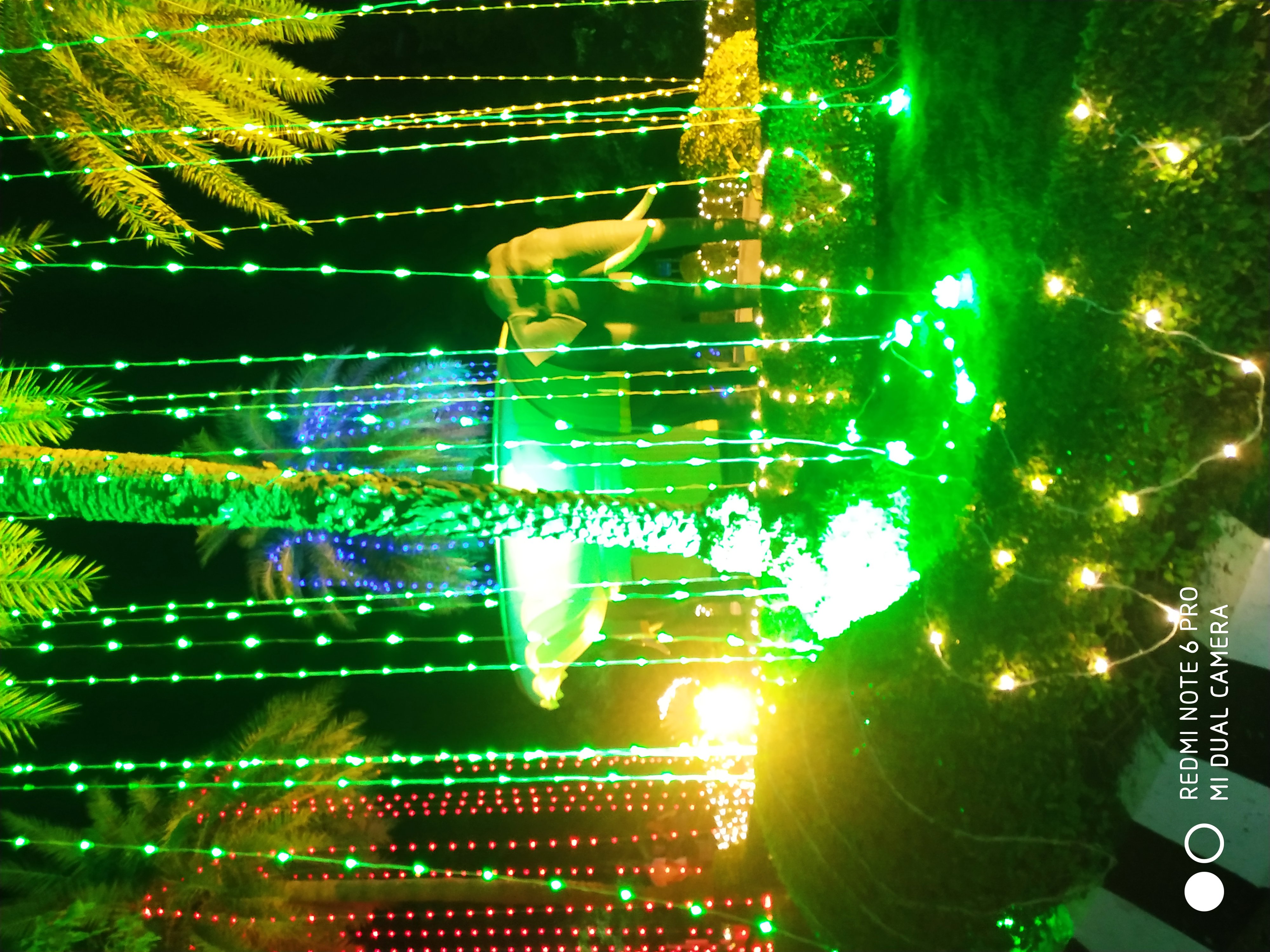 Instigram Photo Gallery