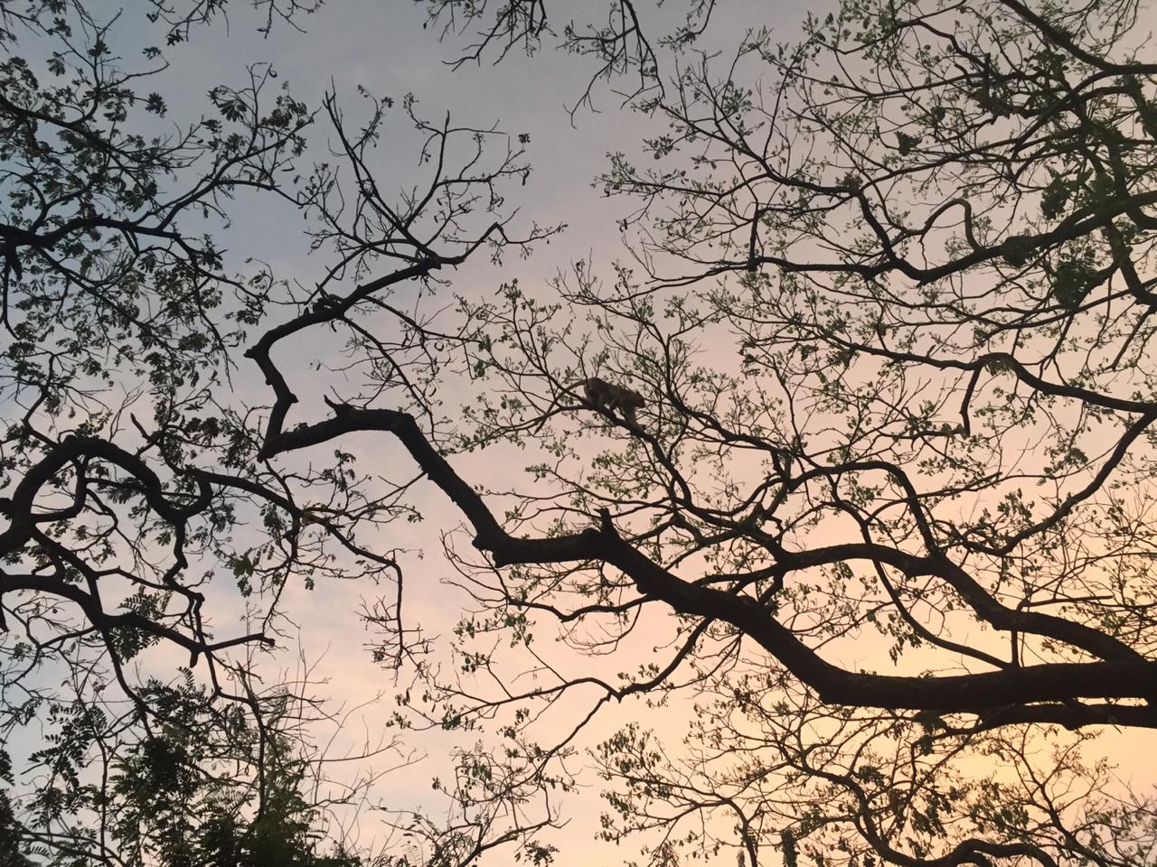 Instigram Photo Gallery