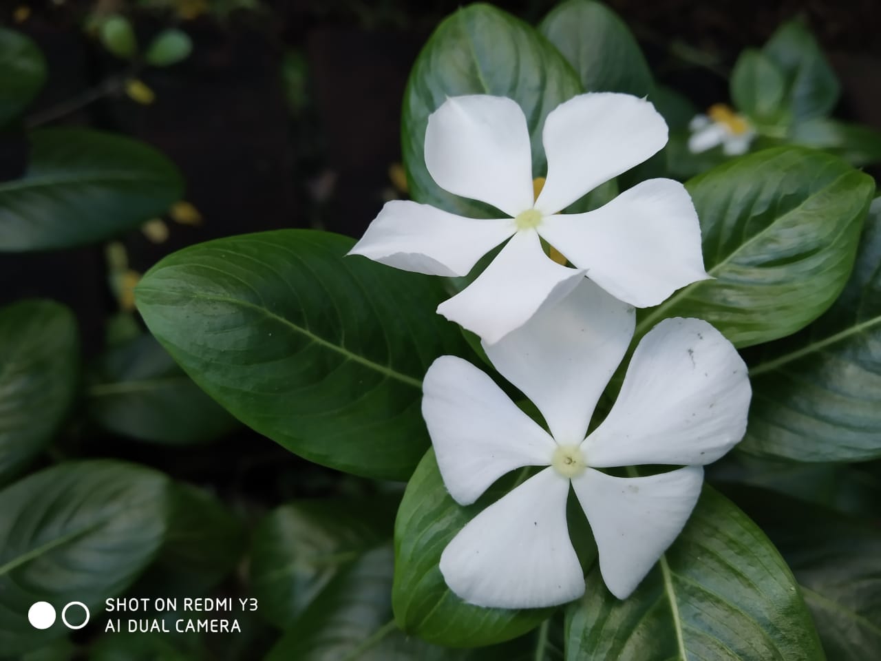 Instigram Photo Gallery