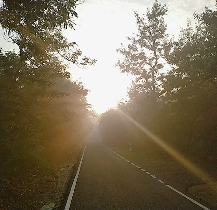 Instigram Photo Gallery
