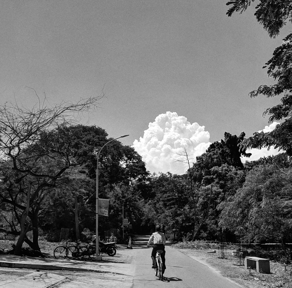 Instigram Photo Gallery