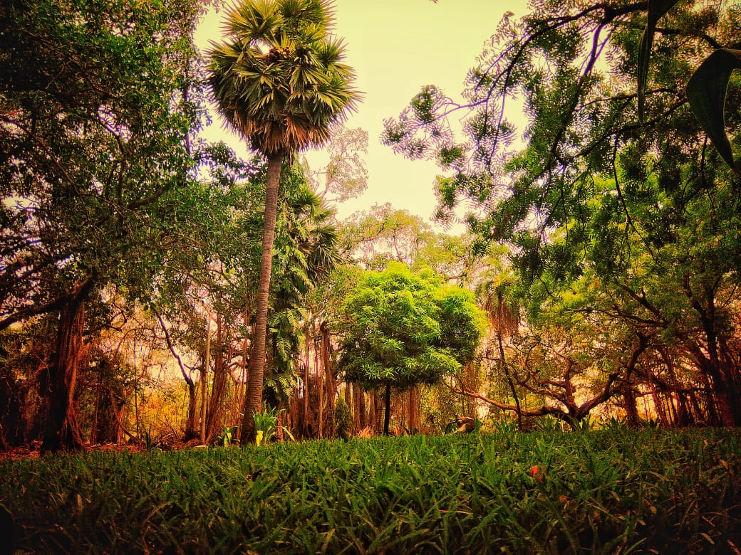 Instigram Photo Gallery