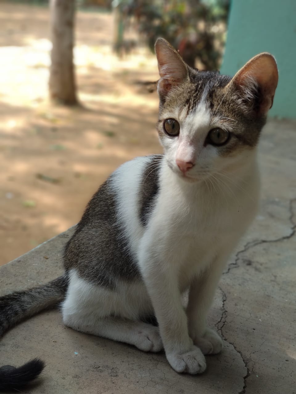 Instigram Photo Gallery