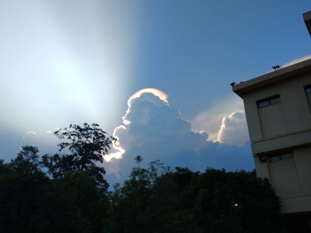 Instigram Photo Gallery