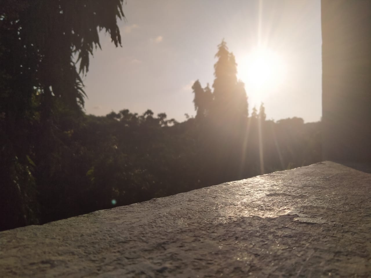 Instigram Photo Gallery