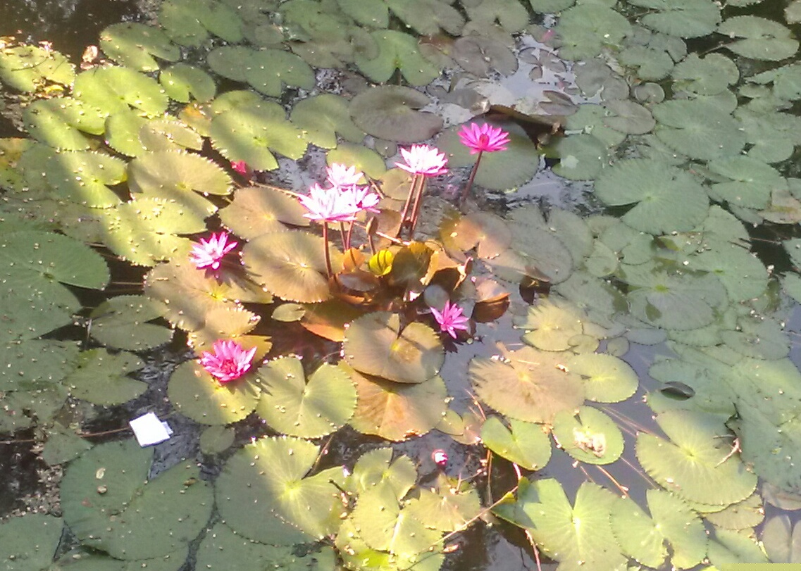 Instigram Photo Gallery