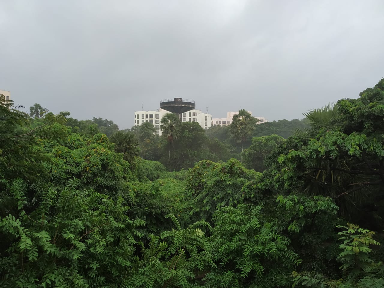 Instigram Photo Gallery