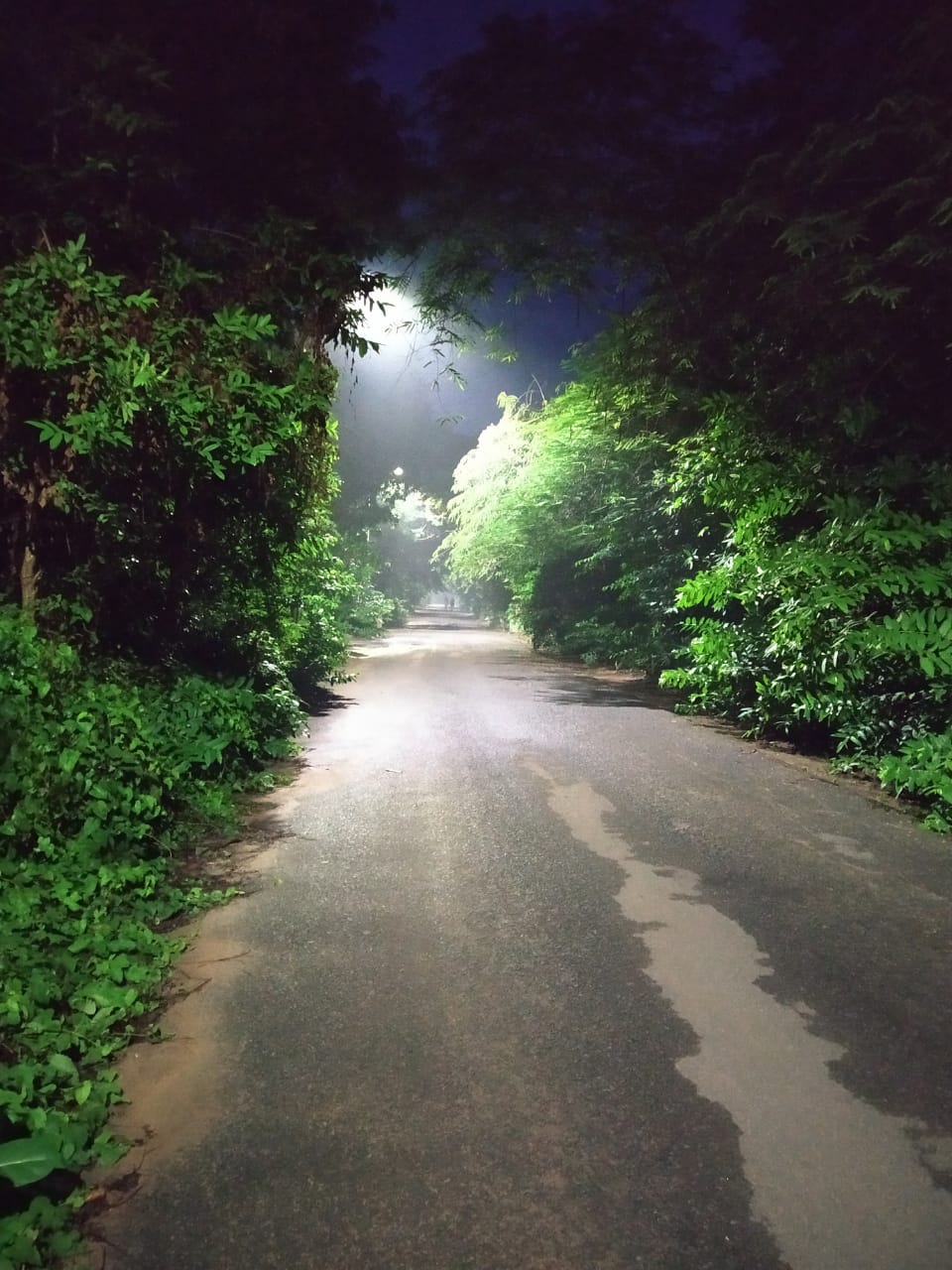 Instigram Photo Gallery