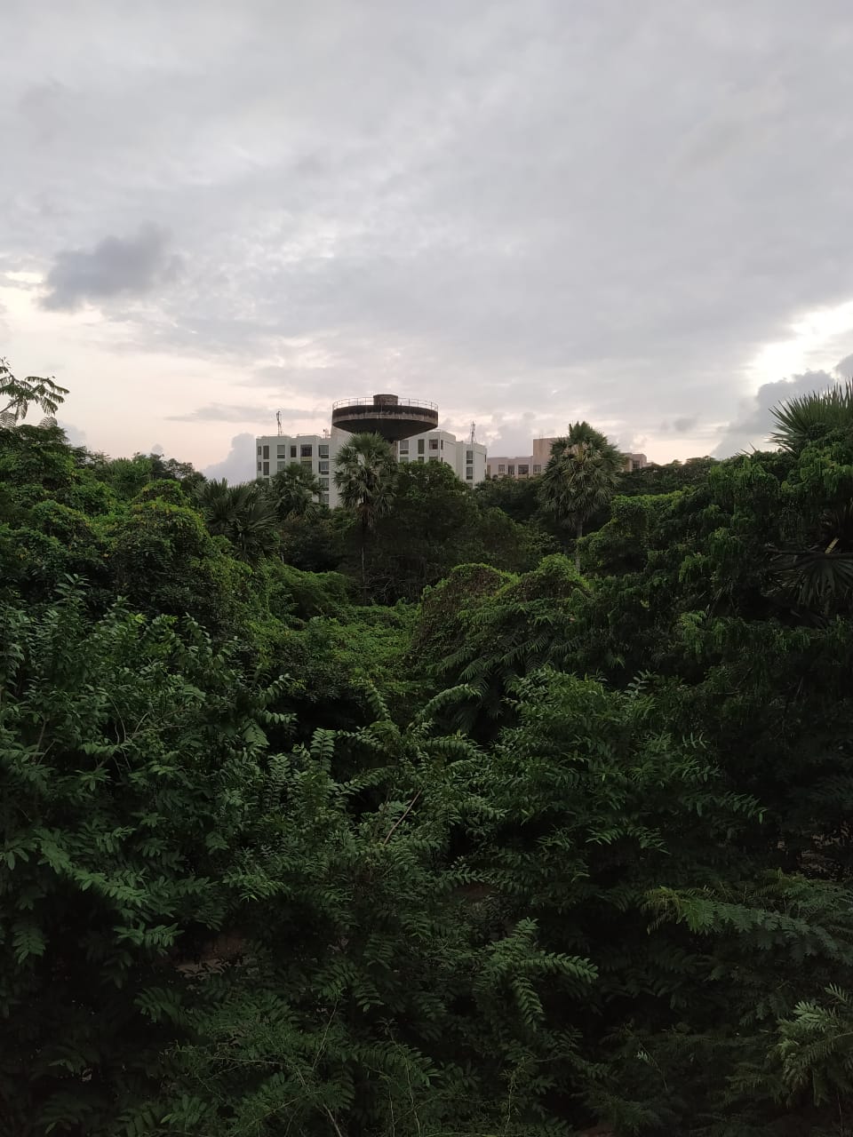 Instigram Photo Gallery