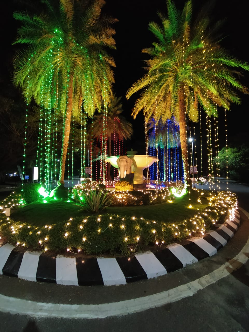 Instigram Photo Gallery