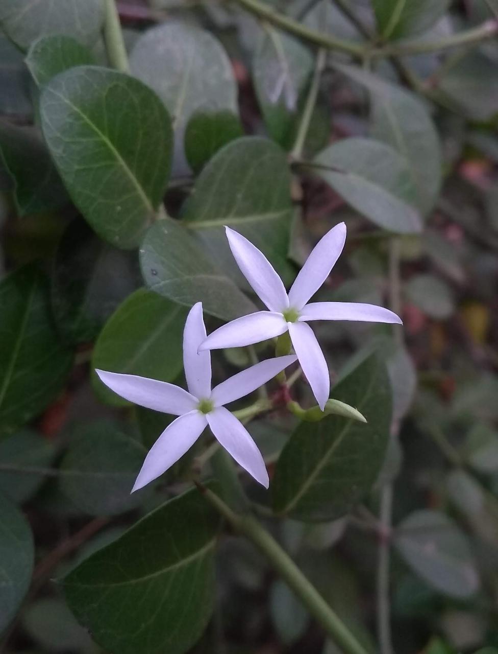Instigram Photo Gallery