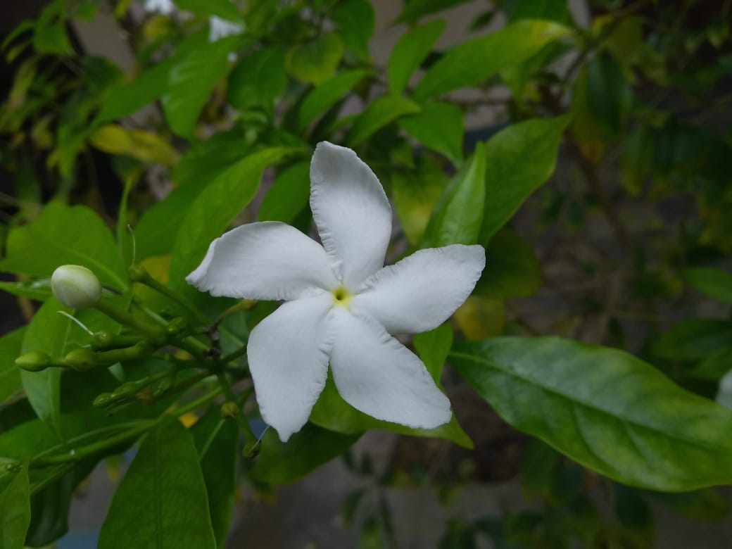 Instigram Photo Gallery