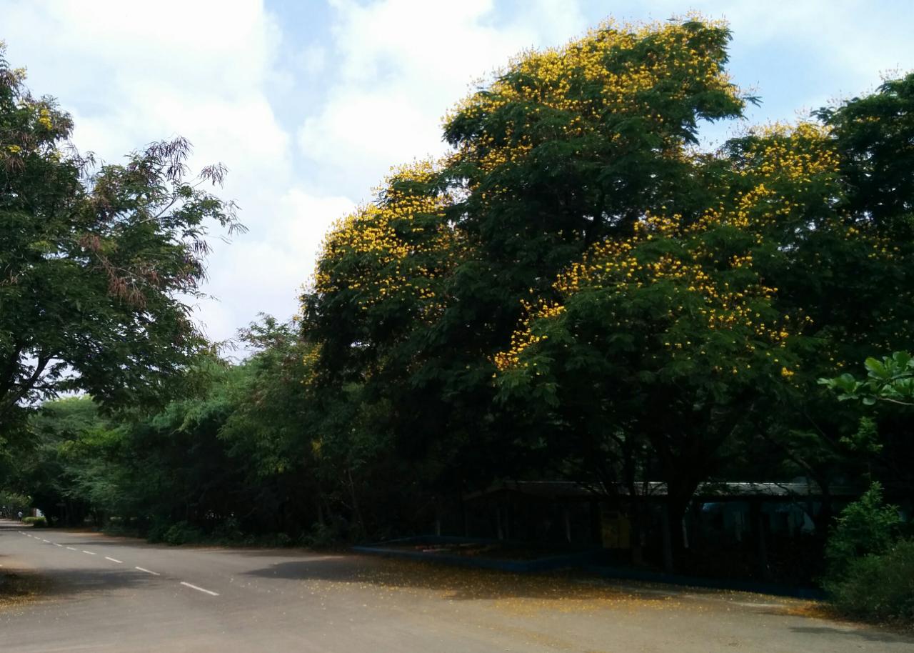 Instigram Photo Gallery