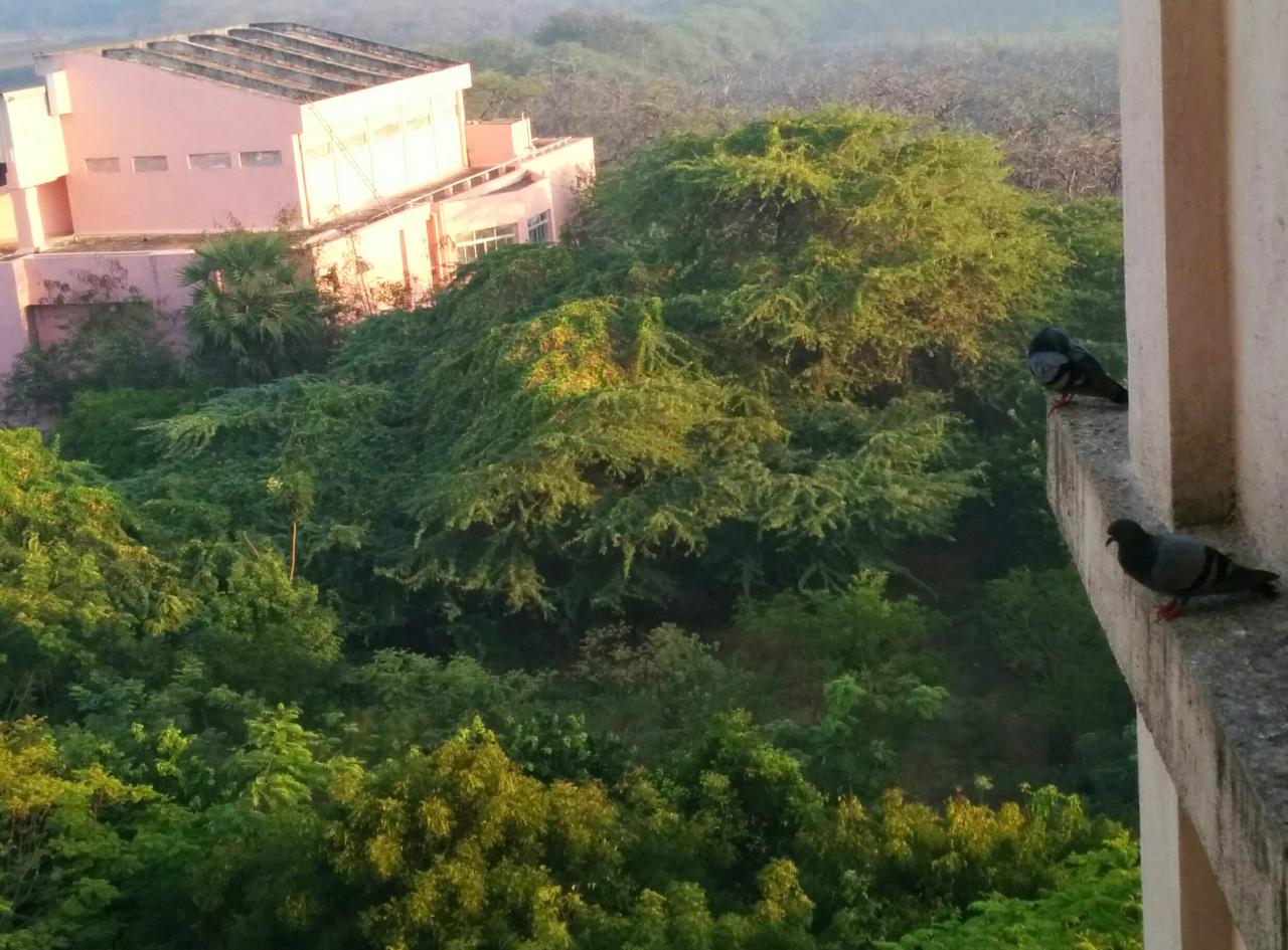 Instigram Photo Gallery