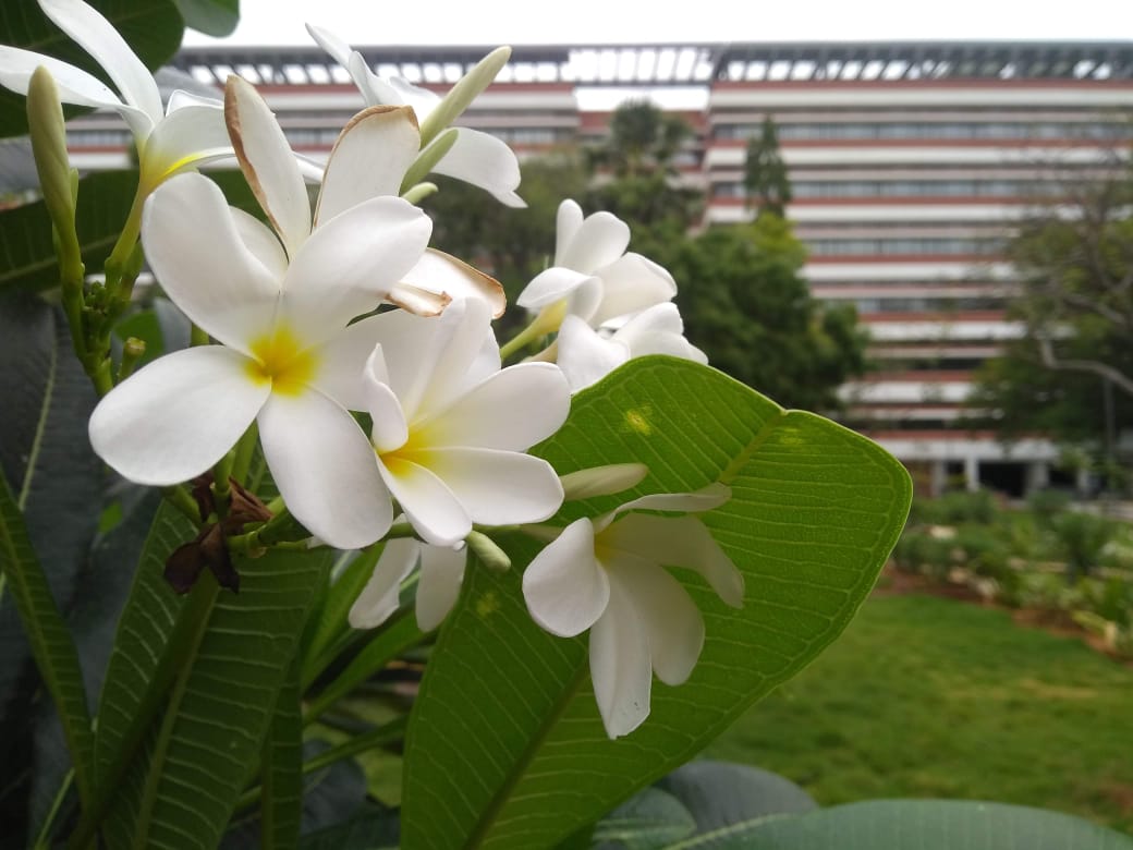 Instigram Photo Gallery