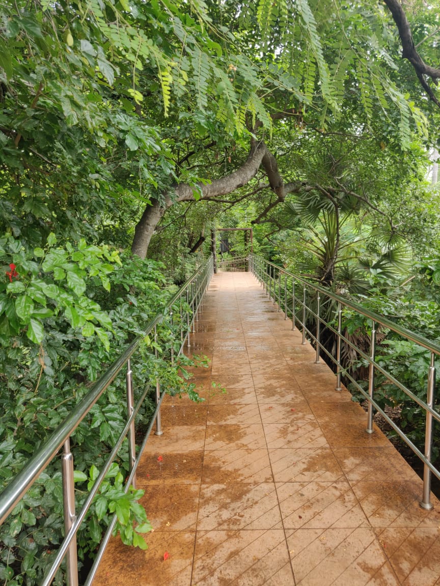 Instigram Photo Gallery