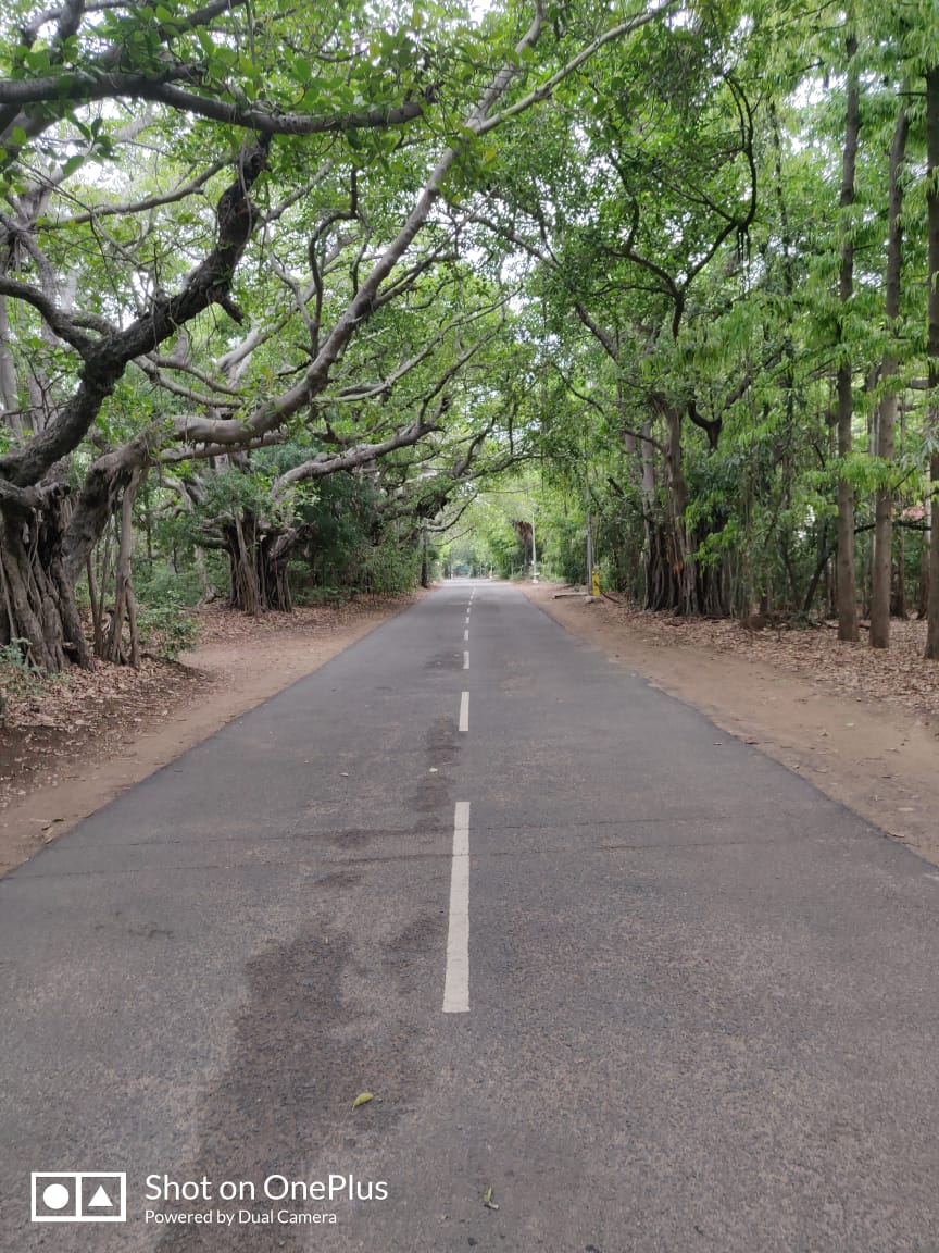 Instigram Photo Gallery