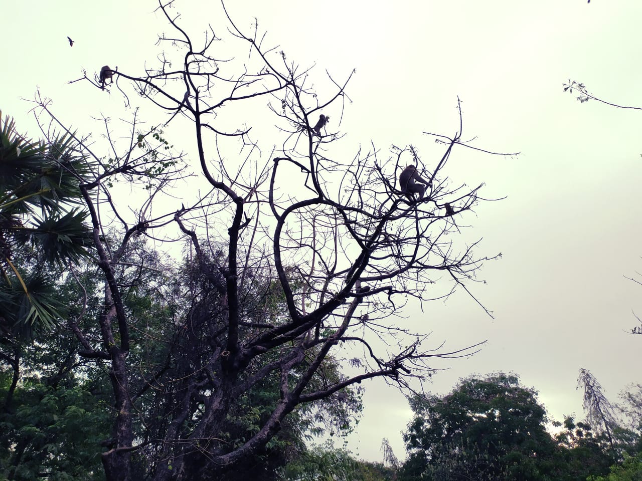 Instigram Photo Gallery
