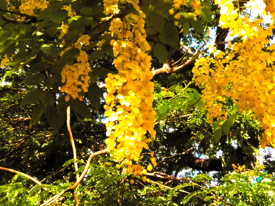 Instigram Photo Gallery
