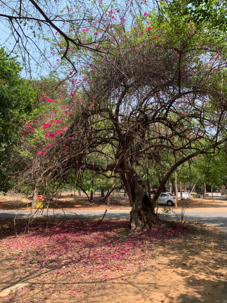 Instigram Photo Gallery
